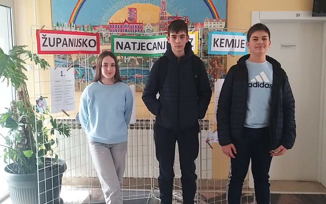 Fran Miličević ostvario 2. mjesto na županijskom natjecanju iz kemije