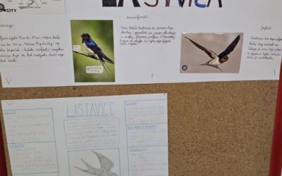 Dobro nam došle, lastavice!