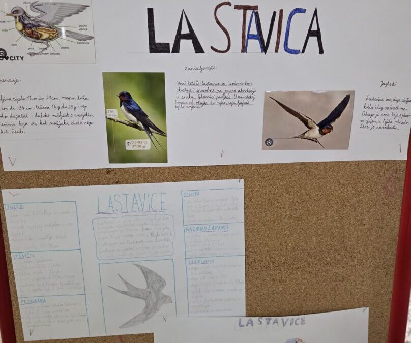 Dobro nam došle, lastavice!
