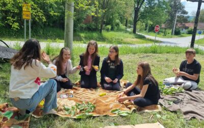 Projekt Dan bez veze